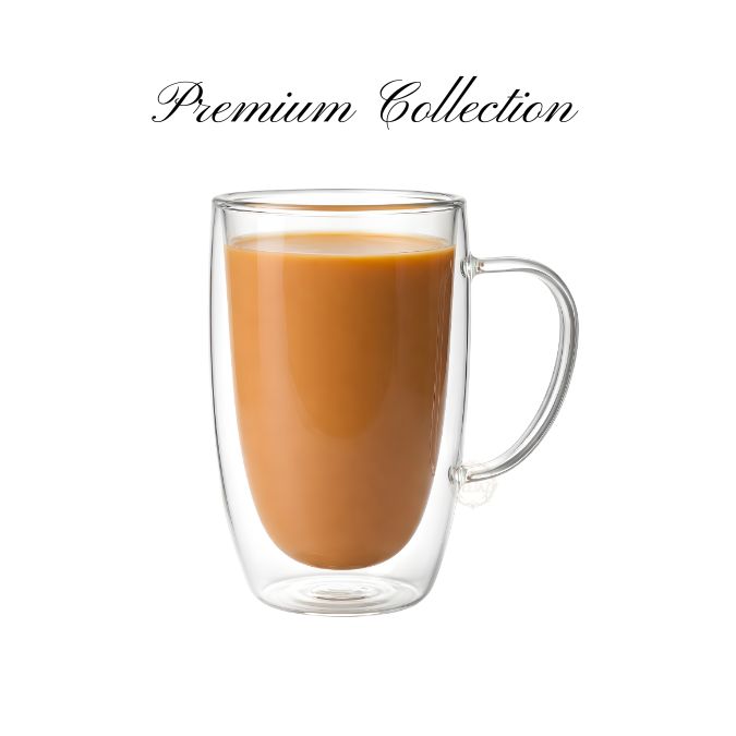 Premium Double Wall Mug | Hot & Cold | 450ml