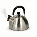 2.5 Liter Stainless Steel Whistling Kettle | Heat-Resistant Rubber Handle & Lid | Fast Boil Tea Kettle for Gas Stove